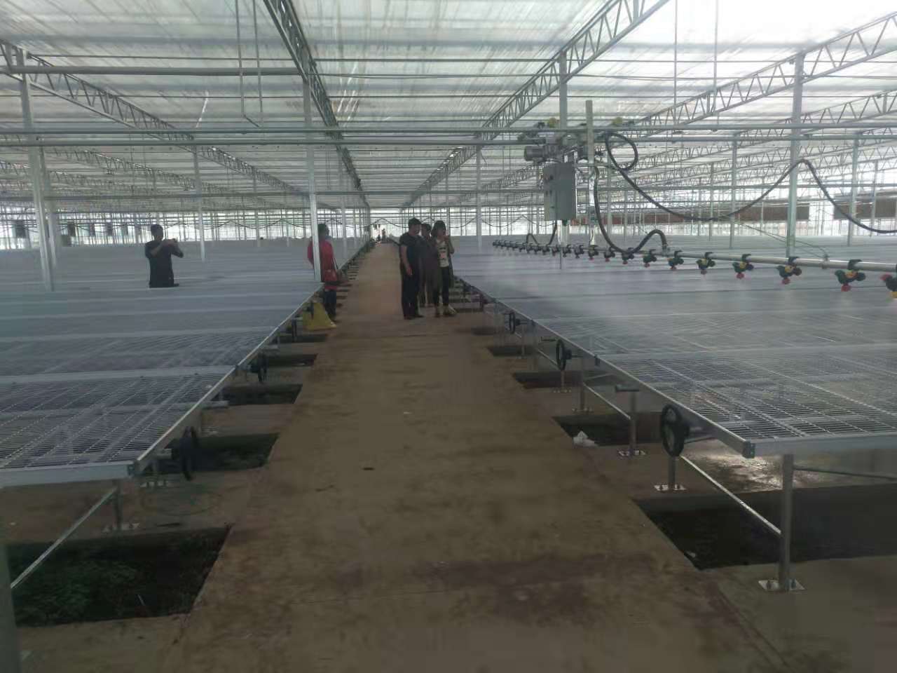 买潮汐移动苗床-价格技巧